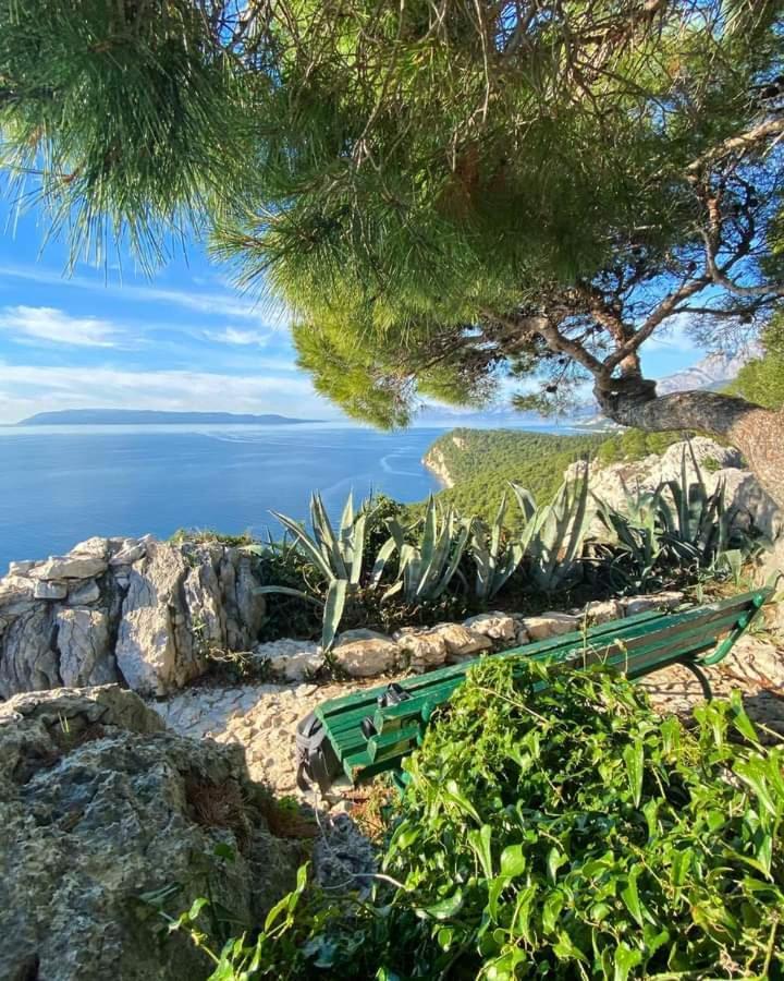 Apartman Laura Galileo Blizu Centra I Plaze Makarska Eksteriør billede